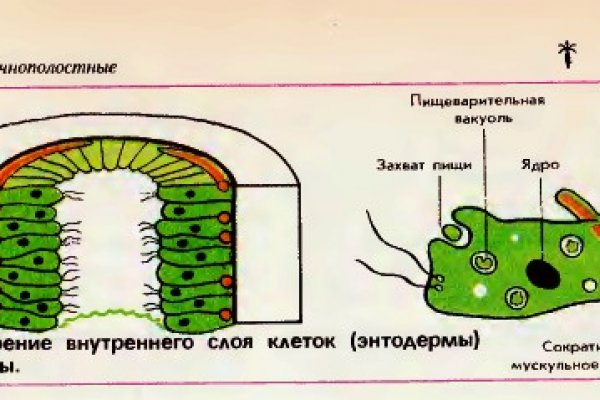 Кракен онион тор