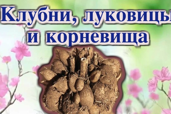 Кракен впн