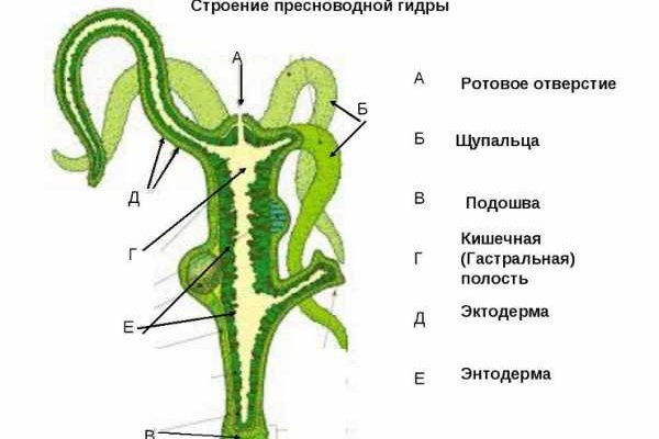 Кракен ссылка тор kr2web in